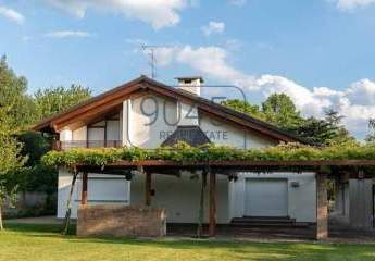 463262-Vorschaubild4