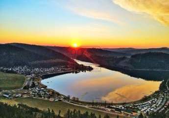 421215-Vorschaubild3