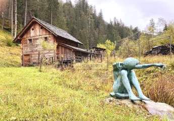 316242-Vorschaubild3