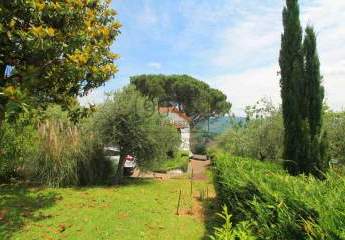 358091-Vorschaubild2