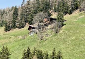 373503-Vorschaubild3