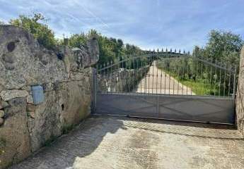 388302-Vorschaubild3