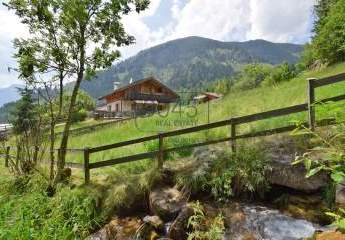 432195-Vorschaubild2