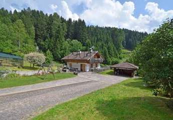 432195-Vorschaubild3