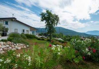 432234-Vorschaubild3