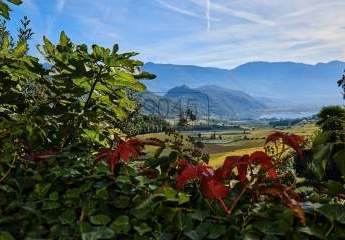 Exklusives Haus am Kalterer See – Langzeitmiete in einmaliger Lage
