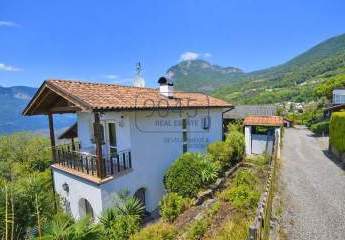 467341-Vorschaubild2