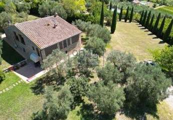 472462-Vorschaubild4