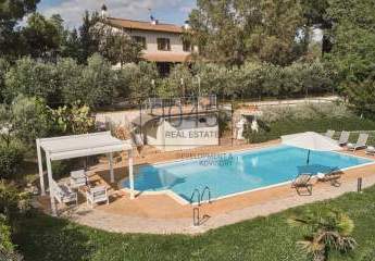 349415-Vorschaubild2