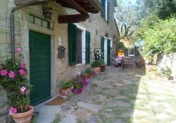 353109-Vorschaubild4