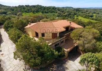 Prächtiges Anwesen mit Olivenhain und zwei kleinen Seen in Palau und unweit von Porto Rafael - Sardinien