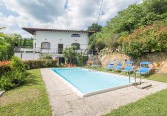 388301-Vorschaubild2