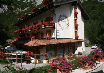 397458-Vorschaubild2