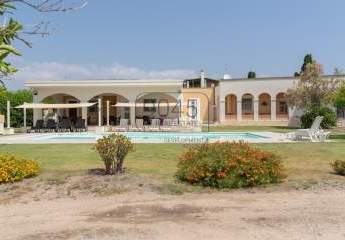 439967-Vorschaubild4