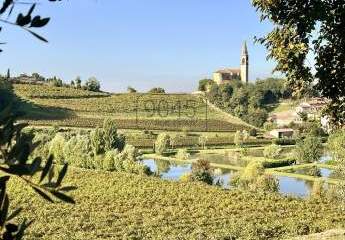 Kleines Weingut in den sanften Hügellandschaften der Colli Berici  in Sarego - Vicenza