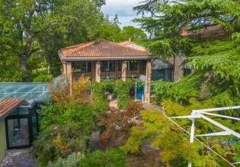 451481-Vorschaubild4