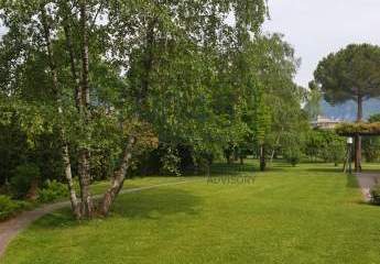 463262-Vorschaubild2