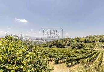 Secret Sale: Exklusives Anwesen mit Villa, Bio-Weinbergen und Entwicklungspotenzial nahe Bolgheri - Toskana