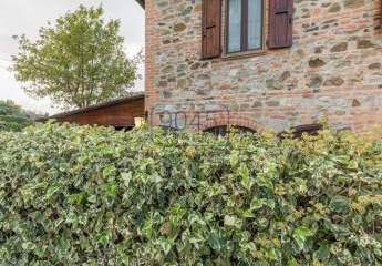 472464-Vorschaubild3