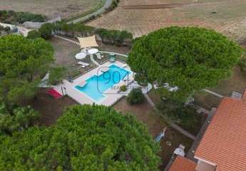 476157-Vorschaubild2