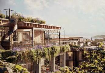 423557-Vorschaubild2