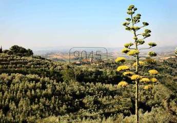 Charaktervolle Villa mit Gästehaus inmitten der toskanischen Natur – im Heimatort des großen Meisters Leonardo da Vinci