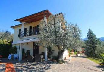 415492-Vorschaubild4