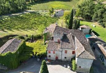 472463-Vorschaubild3