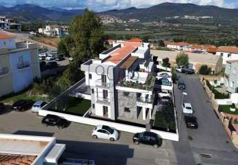 481451-Vorschaubild4