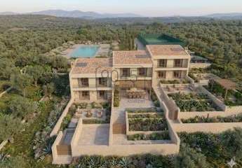 482234-Vorschaubild3