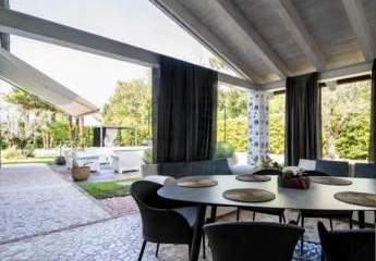 466933-Vorschaubild4