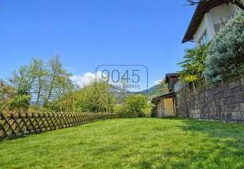 467341-Vorschaubild4