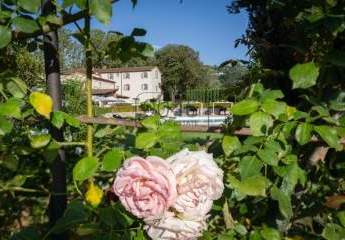 343312-Vorschaubild3