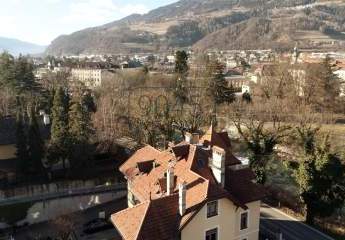 399024-Vorschaubild4