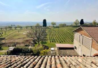 Landgut mit Weinbergen, Olivenhainen und Villa in Panoramalage in Sona - Gardasee