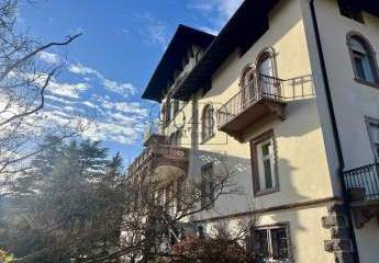 456722-Vorschaubild2