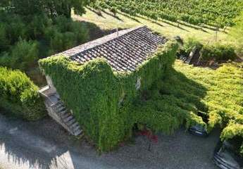 472463-Vorschaubild4