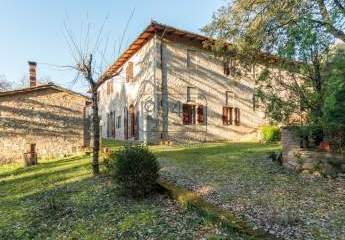 477644-Vorschaubild2