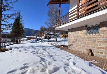 484559-Vorschaubild3