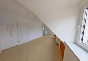 484172-Vorschaubild2