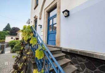 453151-Vorschaubild2