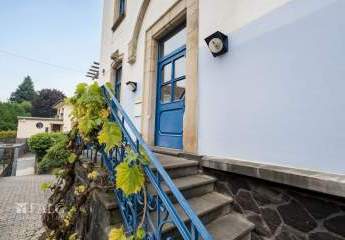 453151-Vorschaubild3