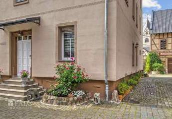 458007-Vorschaubild2