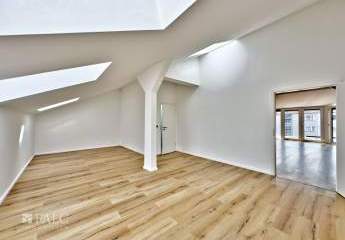 429393-Vorschaubild4