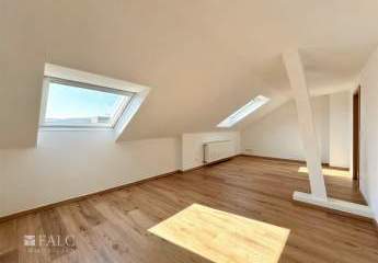 478674-Vorschaubild2