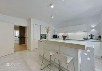 484848-Vorschaubild2