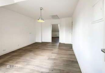 493898-Vorschaubild4