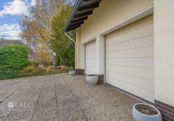 462507-Vorschaubild2