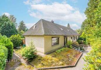 408879-Vorschaubild2