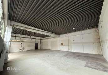 455779-Vorschaubild2